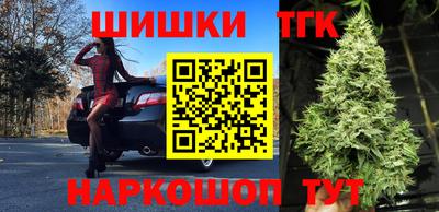 молекула духа Бийск